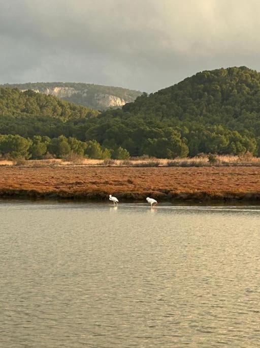 Maison Chalet 200 M De La Plage Climatisation Et Wifi Gruissan Kültér fotó