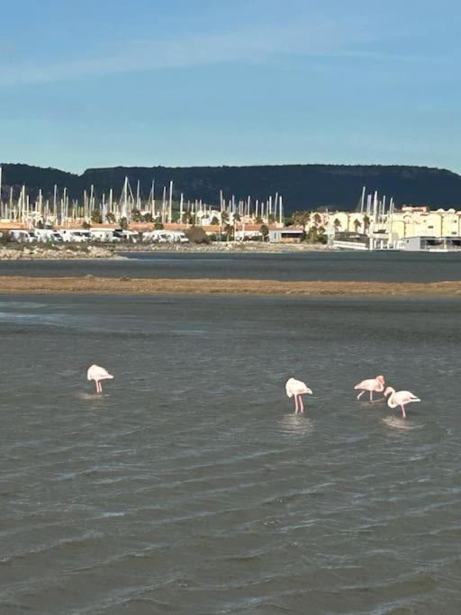 Maison Chalet 200 M De La Plage Climatisation Et Wifi Gruissan Kültér fotó