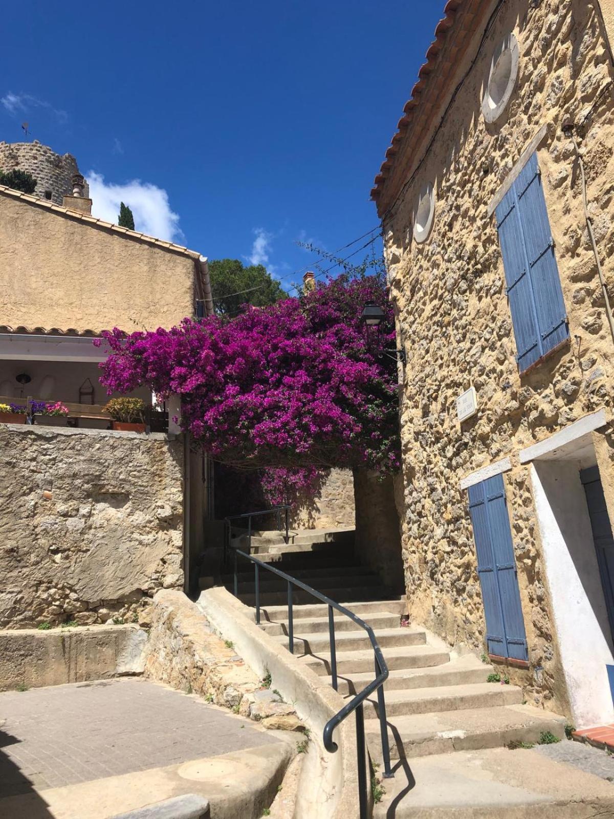 Maison Chalet 200 M De La Plage Climatisation Et Wifi Gruissan Kültér fotó